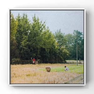 捆绑绳虐A片在线看
